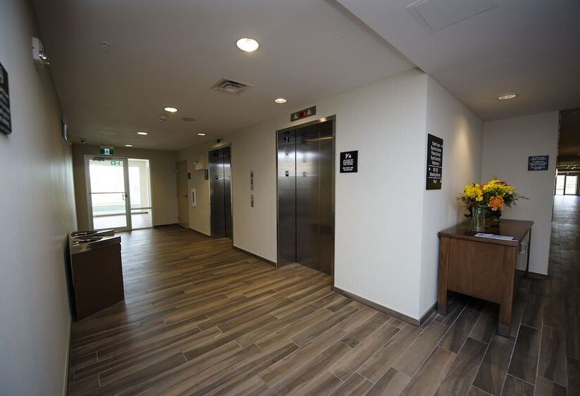 هتل Hampton Inn & Suites By Hilton Truro
