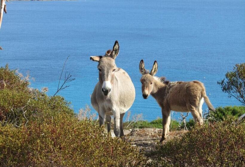 فندق Silvestrino