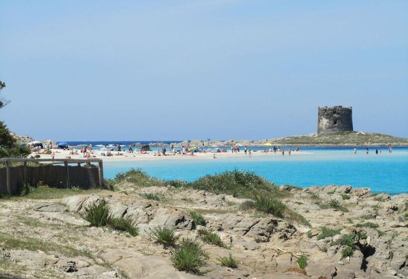 فندق Silvestrino