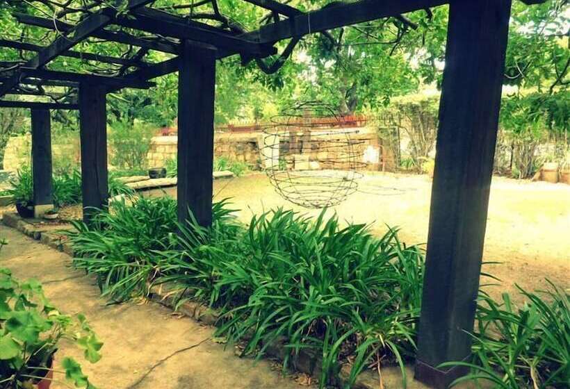 Top House Bed And Breakfast