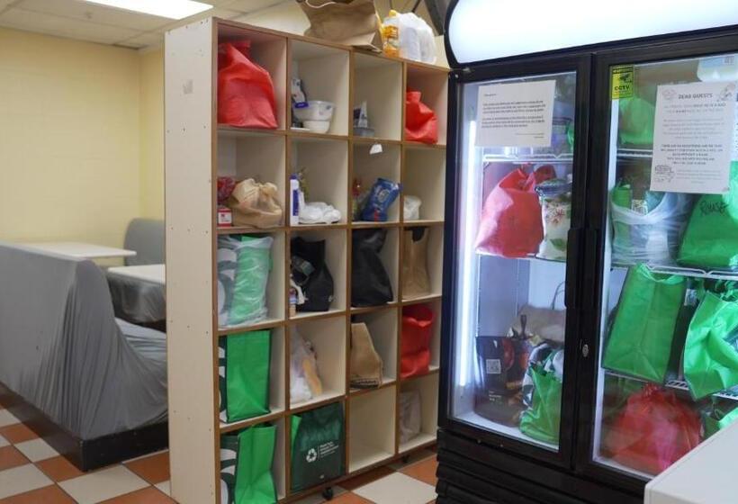 هاستل Silverfern Backpackers