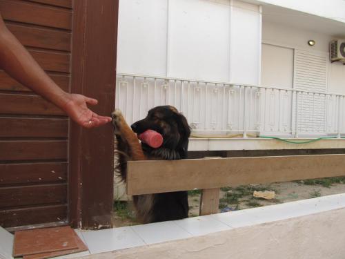 Greek Islands Studios