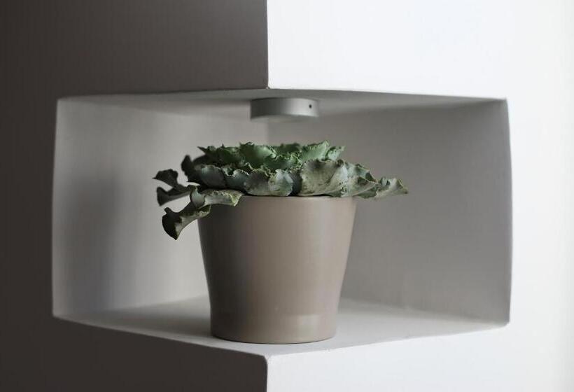 Fotos del hotel 1880 Atypical Rooms:  23