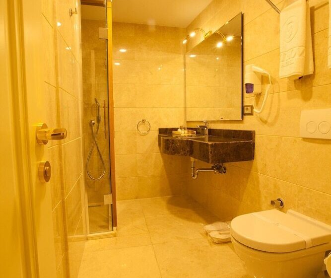 Beethoven Hotel   Special Category