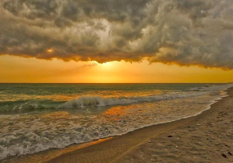 فندق Casey Key Resorts  Beachfront