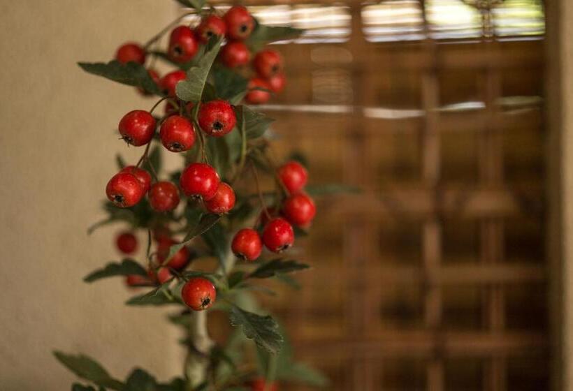 Fotos del hotel Kamuroan:  9