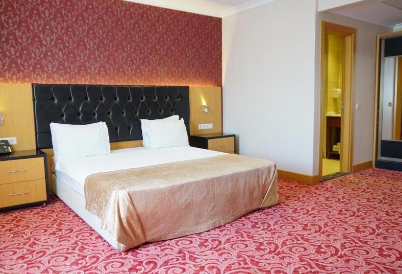 Fotos del hotel Vois:  5