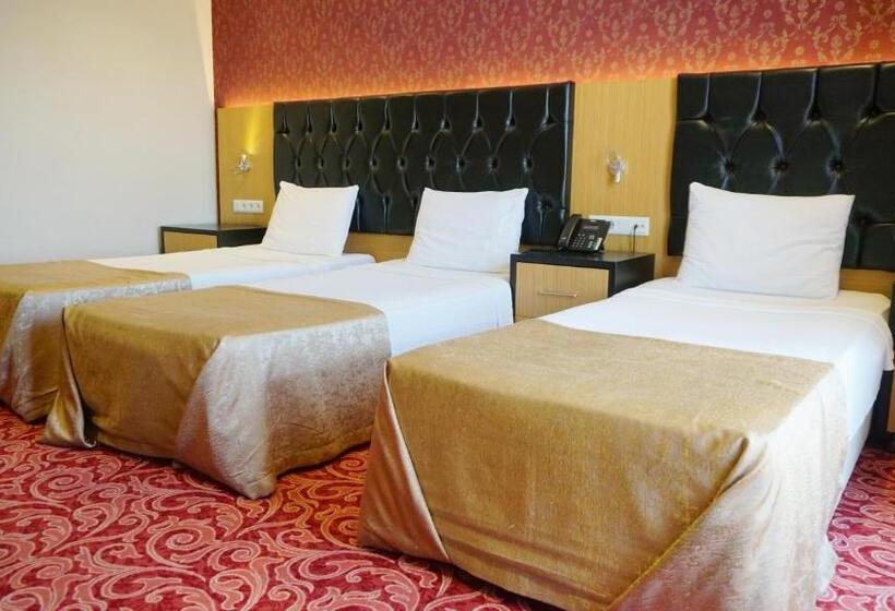 Fotos del hotel Vois:  12