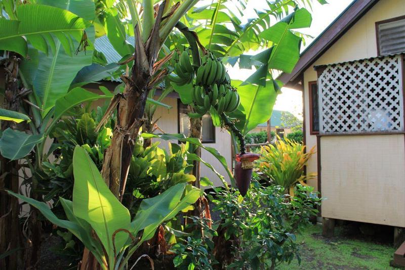 مُتل Aroko Bungalows