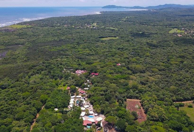 منتجع Las Avellanas Villas