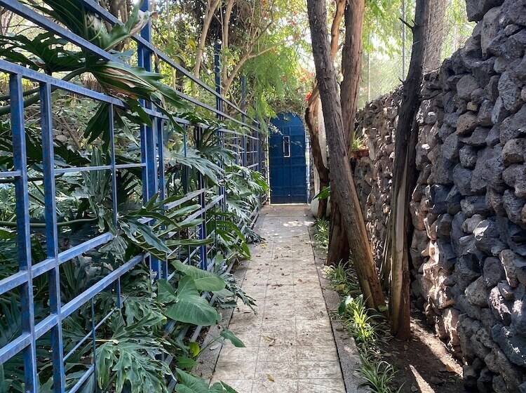 בית מלון כפרי Magnolias Jardin & Boutique Suites