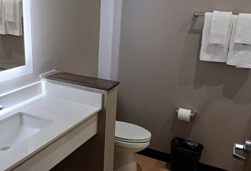 בית מלון כפרי Red Roof Inn Lancaster, Tx