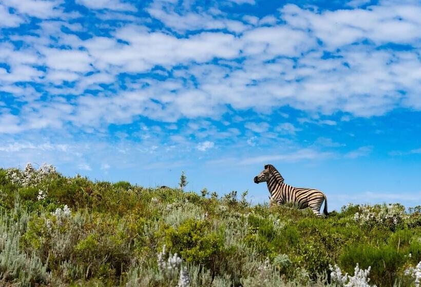 هتل Simbavati Fynbos On Sea