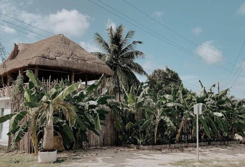 هتل Xa An Bacalar
