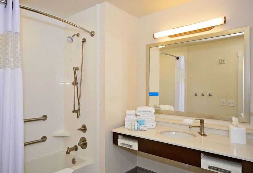 酒店 Hampton Inn Pulaski