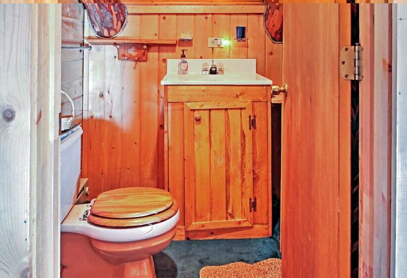 Authentic Cabin W/ Hot Tub In The San Juan Mtns!