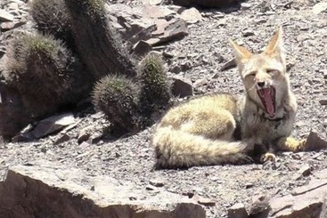 مسافرخانه Pircas De Arboleda