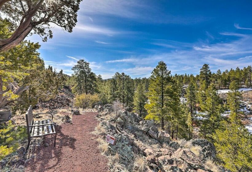 Quaint Williams Cabin Near Grand Canyon