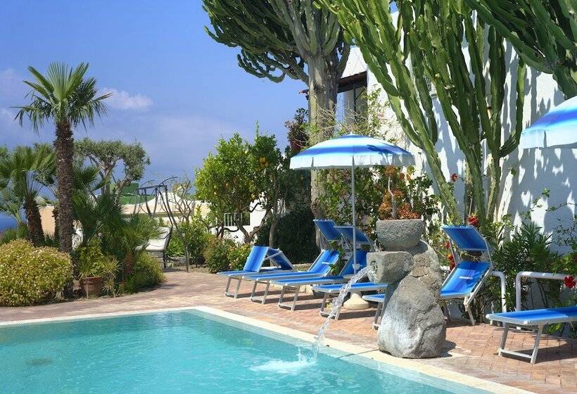 Room In B&b   Ischia Forio, Under The Sign Of Relaxation And Well Being N5481