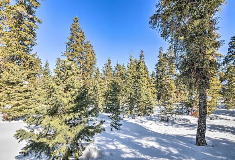 Unique Forest Cabin With Deck: Ski, Hike, Fish!