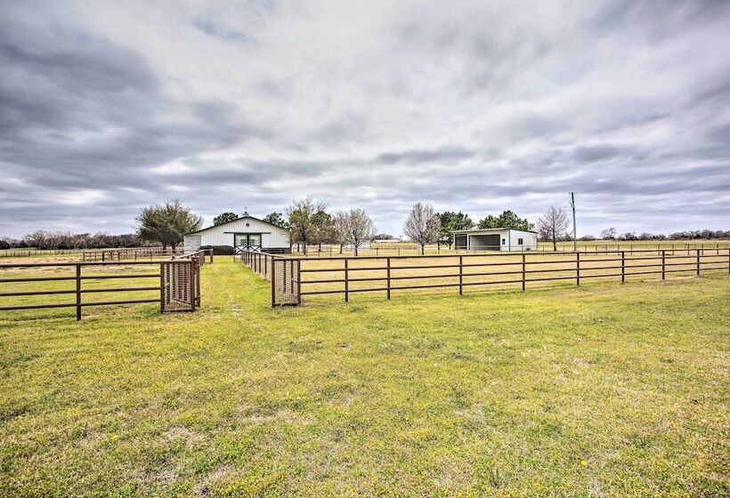 < 3 Mi To Texas Tulips: Pilot Point Home W/ Patio