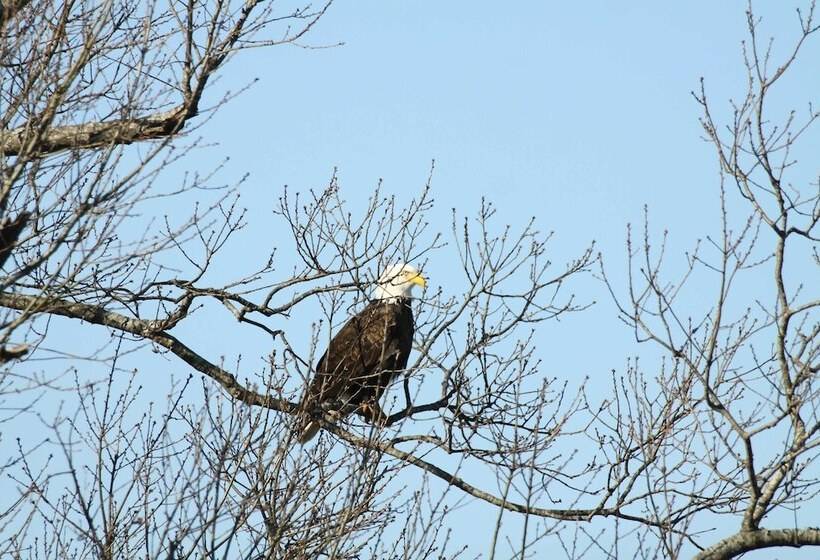 Riverfront Arkansas Retreat Near Fishing & Hiking!