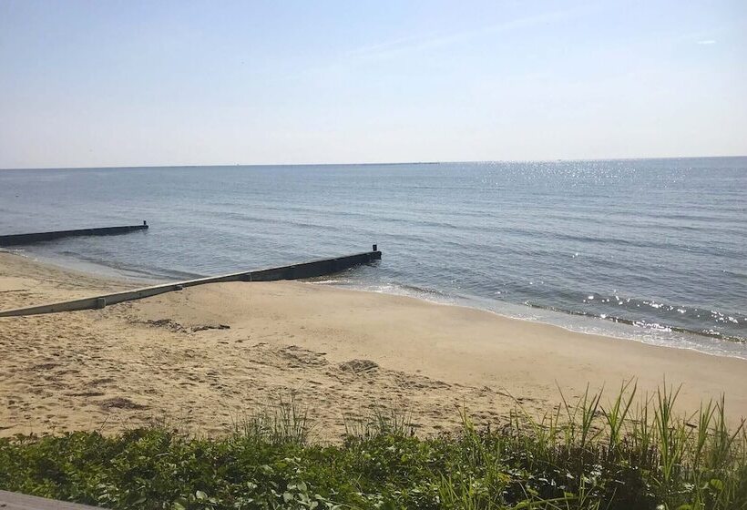 Shore Thing Bayfront House W/ Provided Kayaks!
