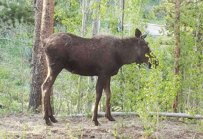 1 Mi To Grand Lake: Family Friendly Gem W/ Hot Tub