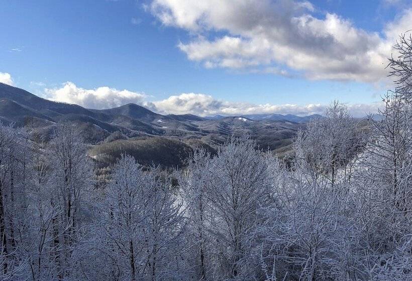 Cabin W/ Bbq + Games   Walk To Blue Ridge Parkway!