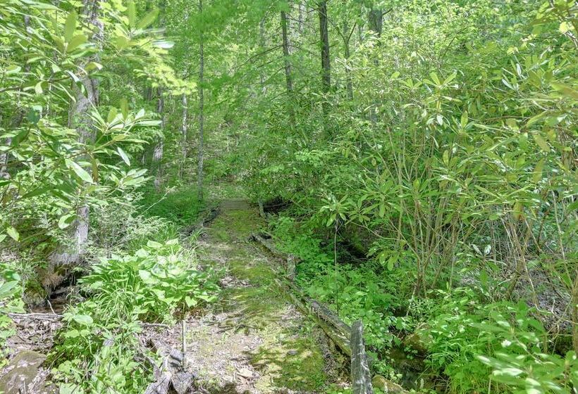 Enchanting Cabin W/ Mother In Law Suite: Mtn Views