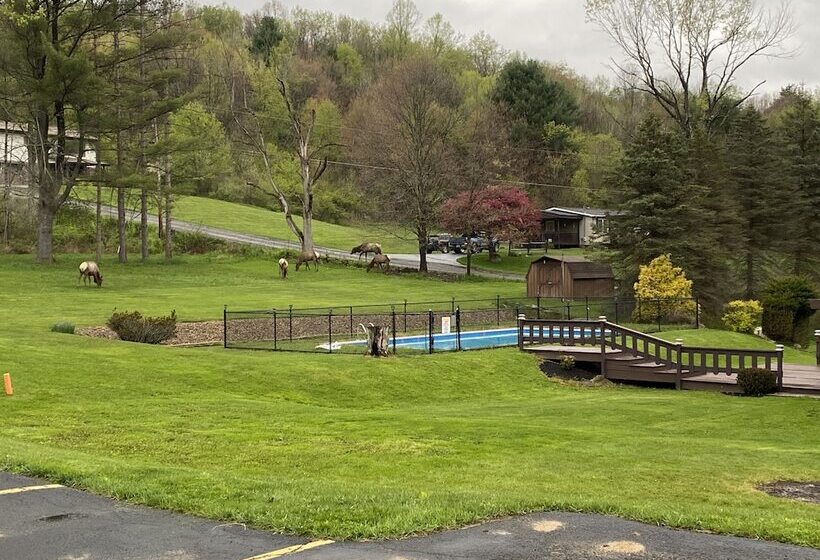 בית מלון כפרי Bennetts Valley Elk Country Inn