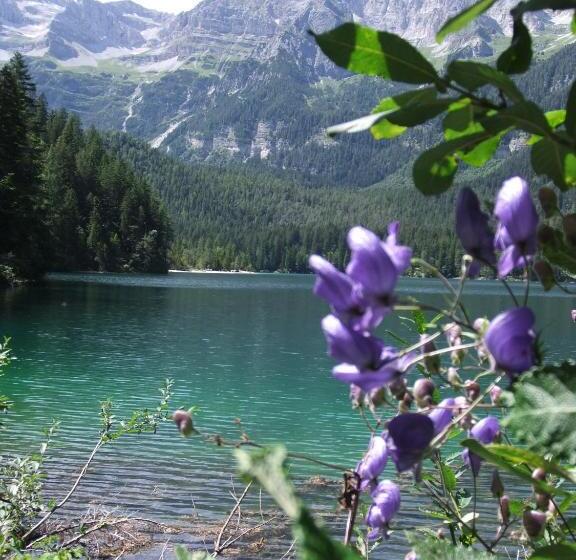 Active Hotel Monte Giner