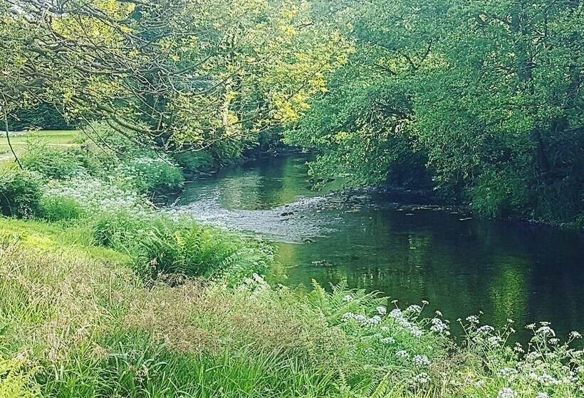 פונדק Dolbrodmaeth Riverside B&b