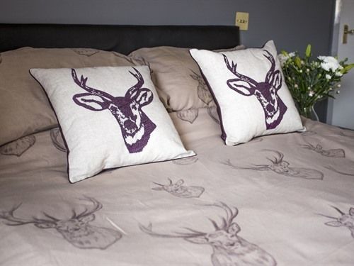 فندق فئة نجمة واحدة Black Swan