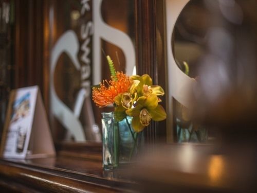 فندق فئة نجمة واحدة Black Swan