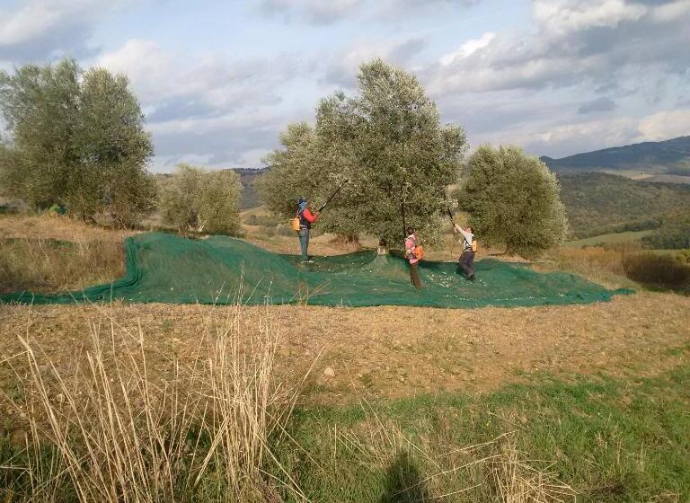 Fotos del hotel Podere Del Vescovo:  17