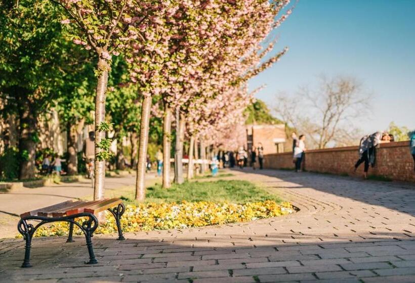 Fotos del hotel Baltazár Boutique Hotel By Zsidai Hotels At Buda Castle:  30