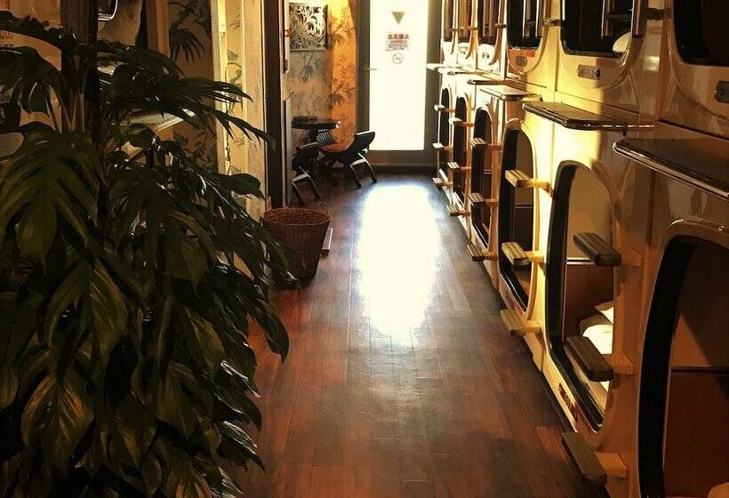 فنادق الكبسولة Capsule Inn Shimbashi  Men Only