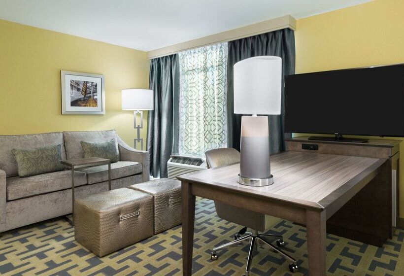 هتل Hampton Inn And Suites Tampa Airport South @ Avion Park