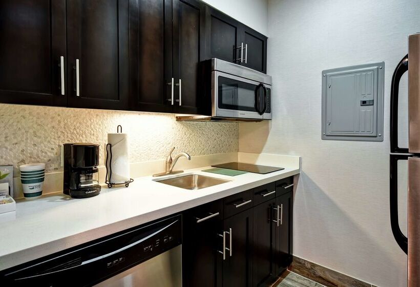 هتل Homewood Suites By Hilton Dallas Arlington South