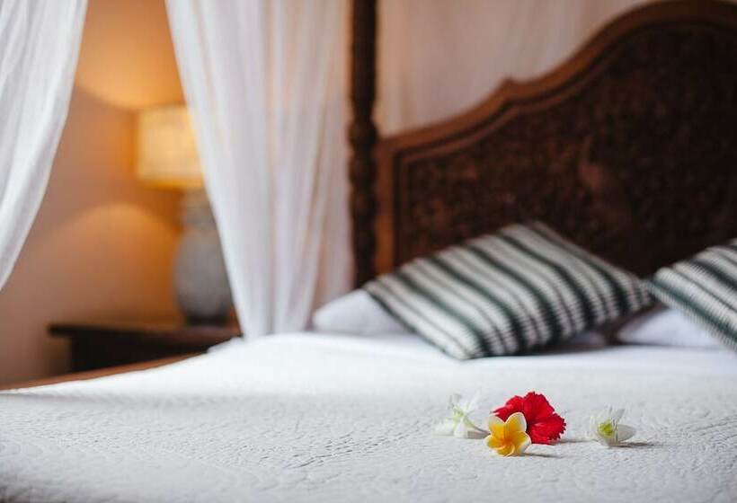 Honeymoon Guesthouse