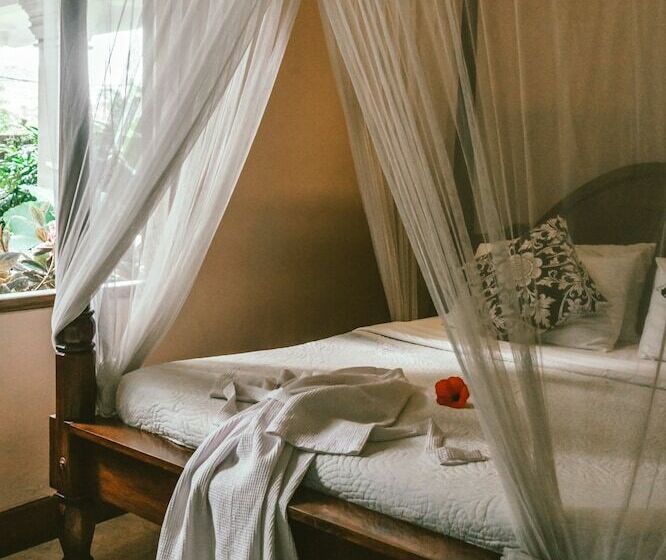 Fotos del hotel Honeymoon Guesthouse:  43