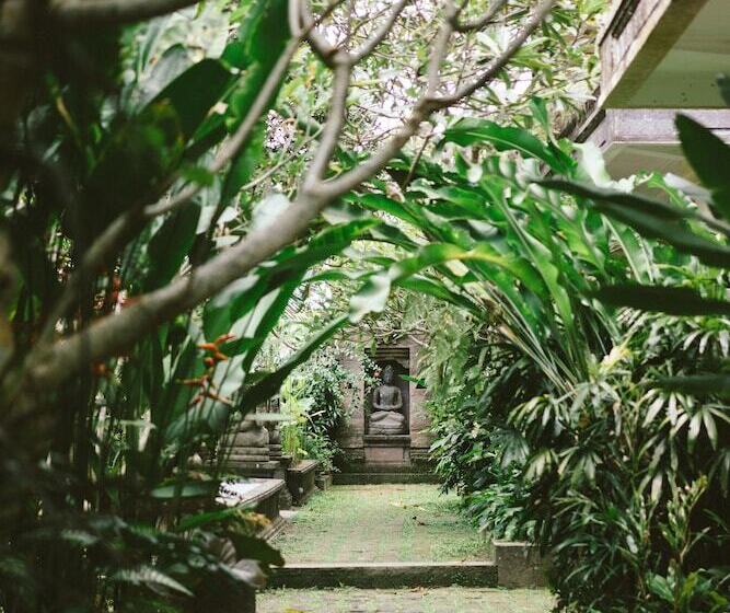 Fotos del hotel Honeymoon Guesthouse:  15