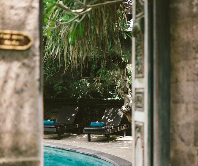 Fotos del hotel Honeymoon Guesthouse:  14