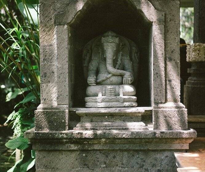 Fotos del hotel Honeymoon Guesthouse:  3