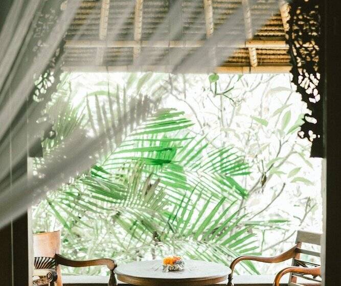 Fotos del hotel Honeymoon Guesthouse:  29