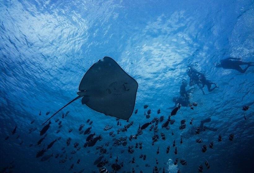 هتل Malahini Kuda Bandos Resort