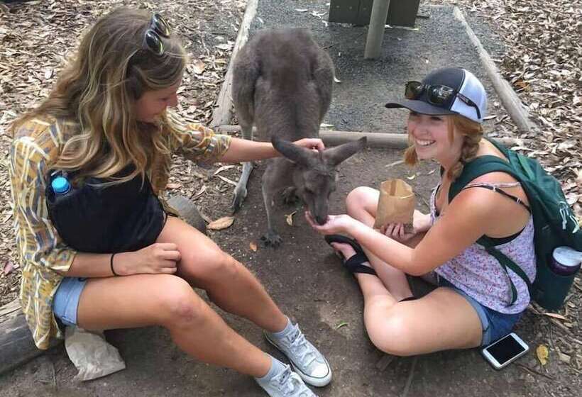 호텔 Mooloolaba Backpackers