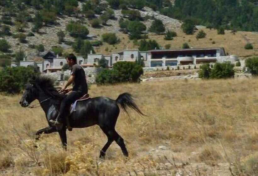 Lefkoritis Resort