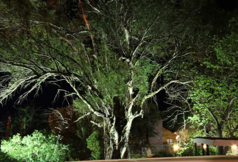 پانسیون Gumtree Guest House